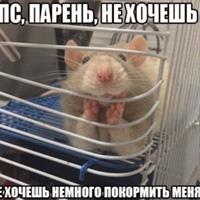 Виктор Липовка