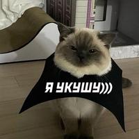 Наташа Скоробогатова