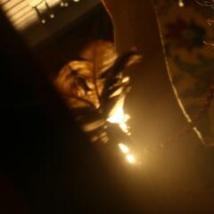 Влад Сотников