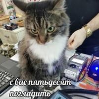 Никита Завильский