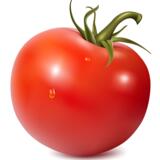 Командор Помидор